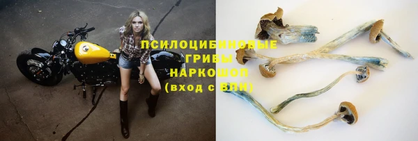 молекула духа Нефтекумск