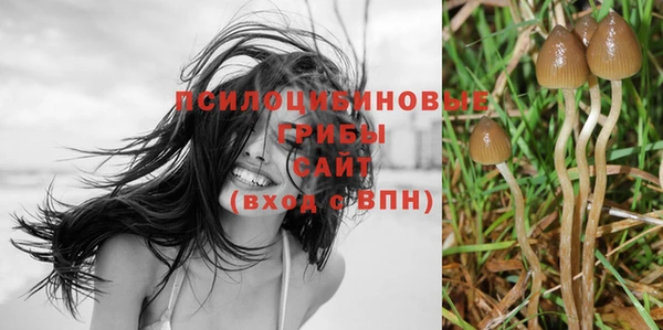марки lsd Надым