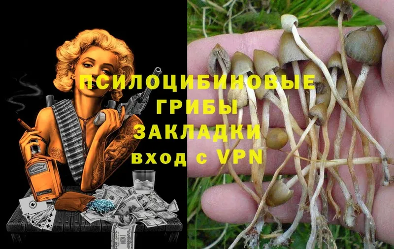 Галлюциногенные грибы Magic Shrooms  наркошоп  Красавино 